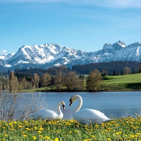 Direkt Am See Mit Bergblick Seeg Dış mekan fotoğraf