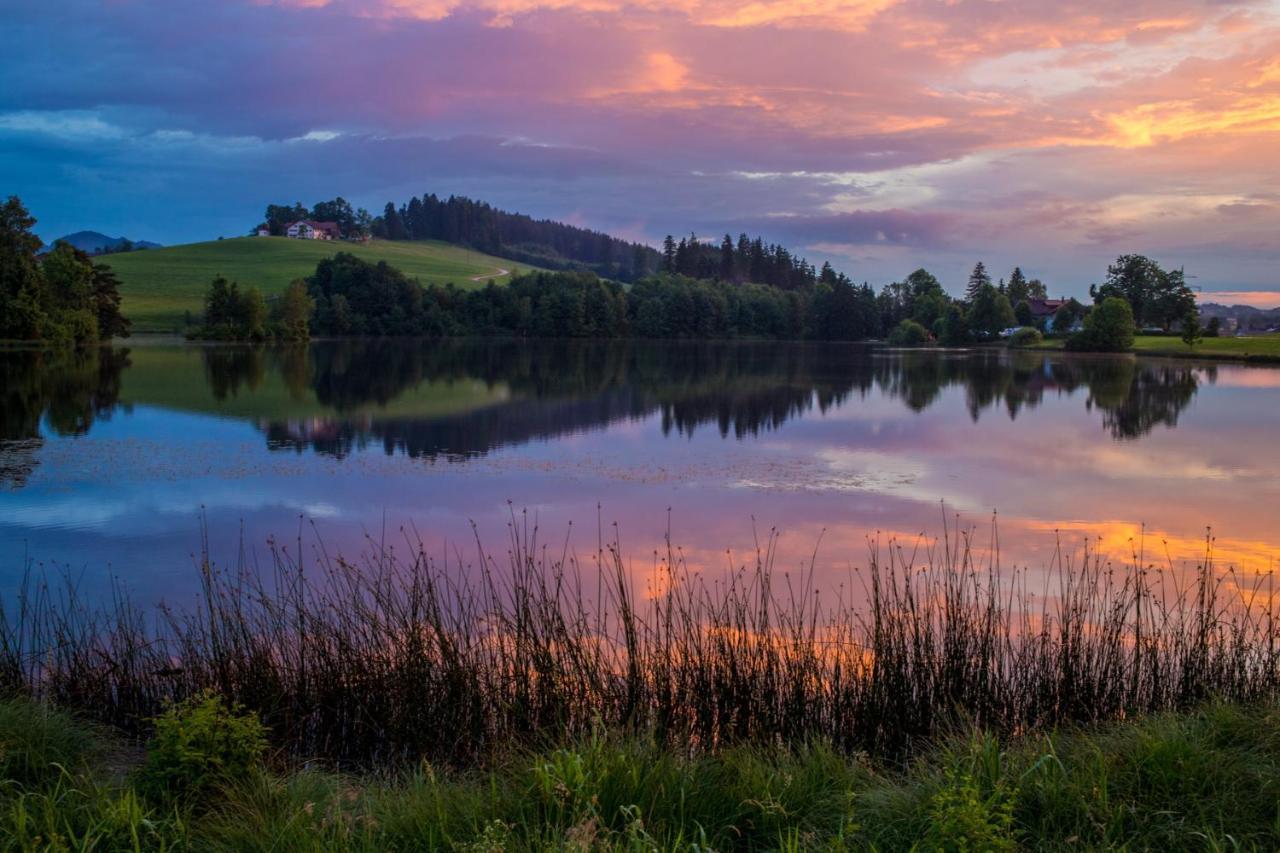 Direkt Am See Mit Bergblick Seeg Dış mekan fotoğraf