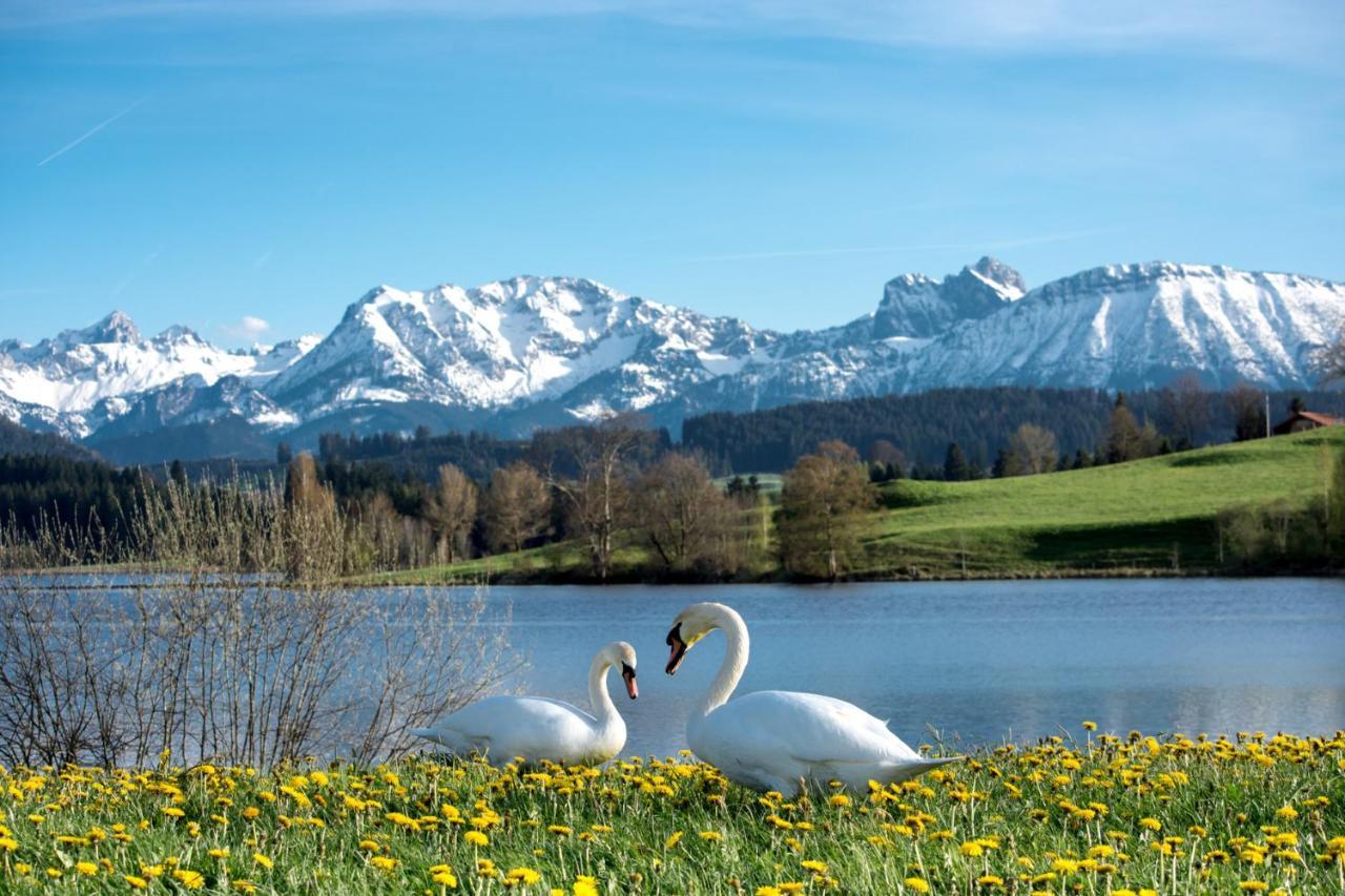Direkt Am See Mit Bergblick Seeg Dış mekan fotoğraf